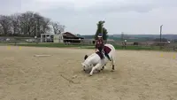 Haras du Valentier