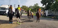 Jezabelle Equitation