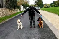 White Dog Éducateur Canin