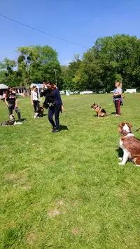 Club des Amis du Chien de Sucy