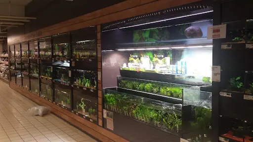Jardiland