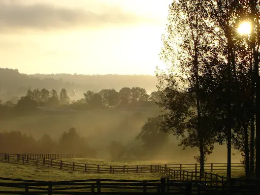 Haras de la Morsanglière