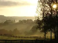 Haras de la Morsanglière