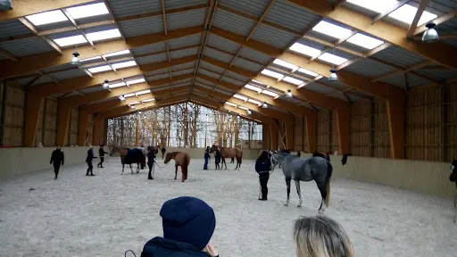 Haras du Coty - Ambre Husson