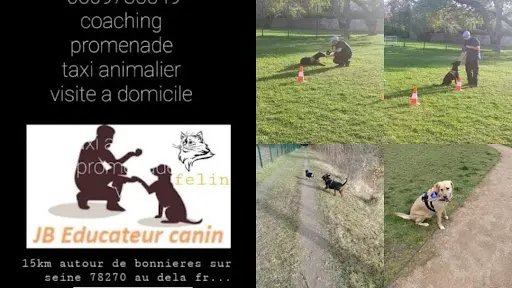 Jb Educateur Canin et Félin