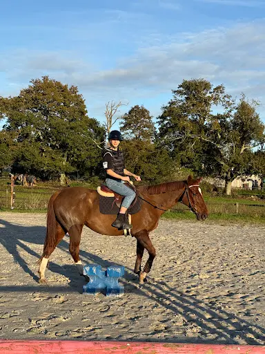 Ecuries Laouen