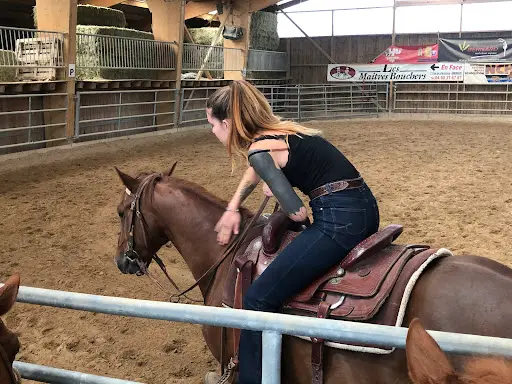 Charmot Quarter Horse