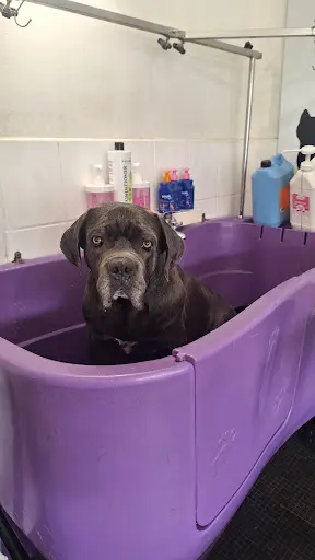 À l'Or Soins