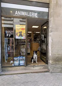 Animal S World