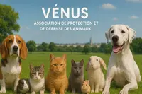 Association Vénus