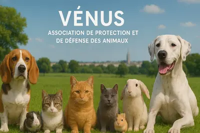 Association Vénus