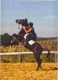 Ecuries des Chênes