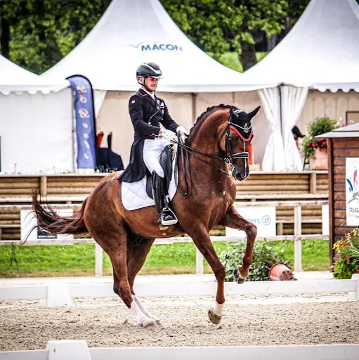 Ecurie Cg Dressage