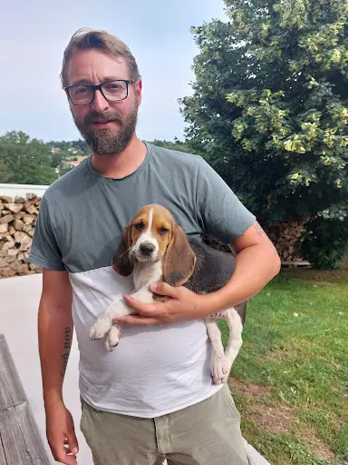 Élevage Beagle et Basset Fauve de Bretagne