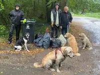 Aur Regard Canin Éducateur Comportementaliste Canin