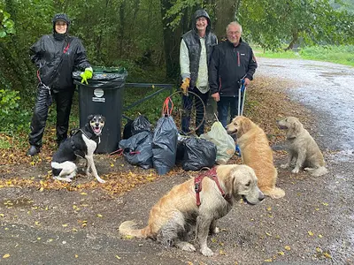 Aur Regard Canin Éducateur Comportementaliste Canin