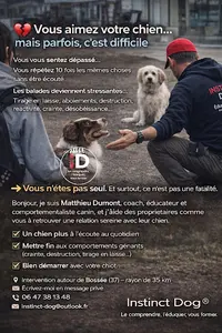 Instinct Dog - Éducation Canine