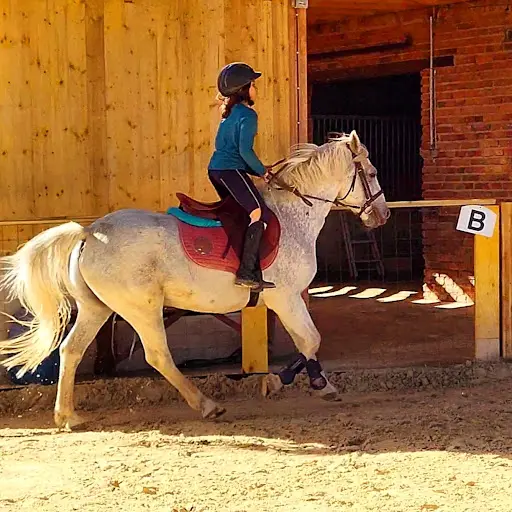 Haras de Tilau