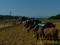 Les Écuries du Cap