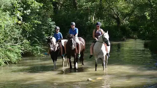Carpe Diem Centre Equestre