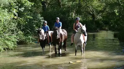 Carpe Diem Centre Equestre