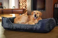 Best Life For Pets