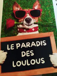 Le Paradis des Loulous