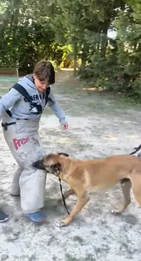 Nb Education Canine