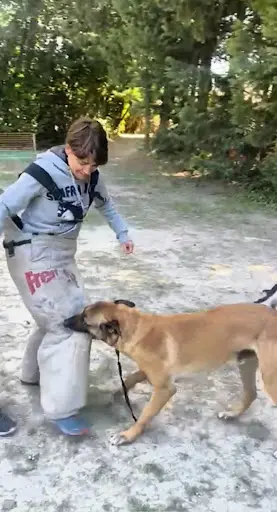Nb Education Canine