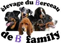 Éleveur Basset Hound, Beauceron, Bouvier Bernois: Élevage du Berceau de B Family