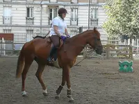 Club Acbb Equitation