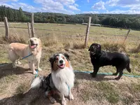 Les Compagnons de Lili