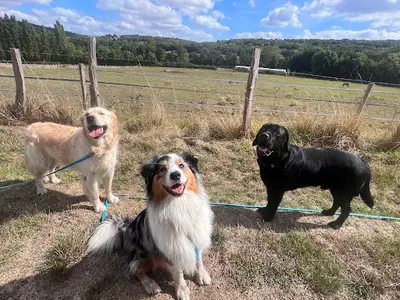 Les Compagnons de Lili