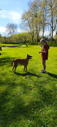 Éducateur Canin Just In Dog
