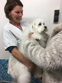 Peluche