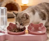 O Royaume des Chats