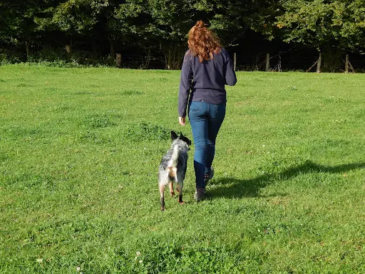Maëlle et les 4 Pattes