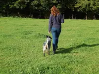 Maëlle et les 4 Pattes