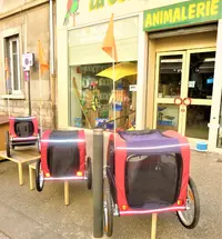 Les Animaux de Compagnie