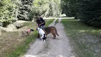 La Passion d'Argos