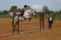 Ecurie les Grainvilleries. Centre Equestre, Pensions Pour Chevaux