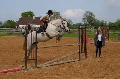 Ecurie les Grainvilleries. Centre Equestre, Pensions Pour Chevaux