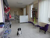 Au Bonheur des Dogs