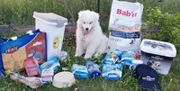 Cap Animal Bourgoin Jallieu
