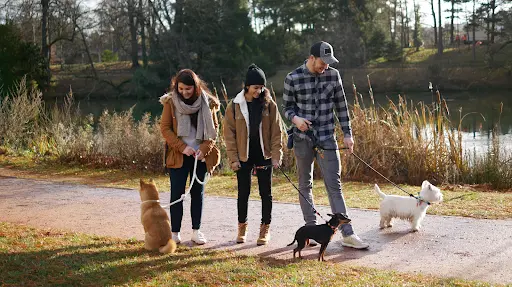 Coté Chiens Educateur Canin Est Lyonnais
