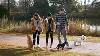 Coté Chiens Educateur Canin Est Lyonnais