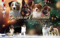 Élevage du Bois de Chantalouette