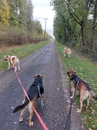 Irko&co