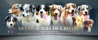 Élevage des Glaciers de Cristal