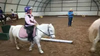 Centre Equestre du Gros Chêne